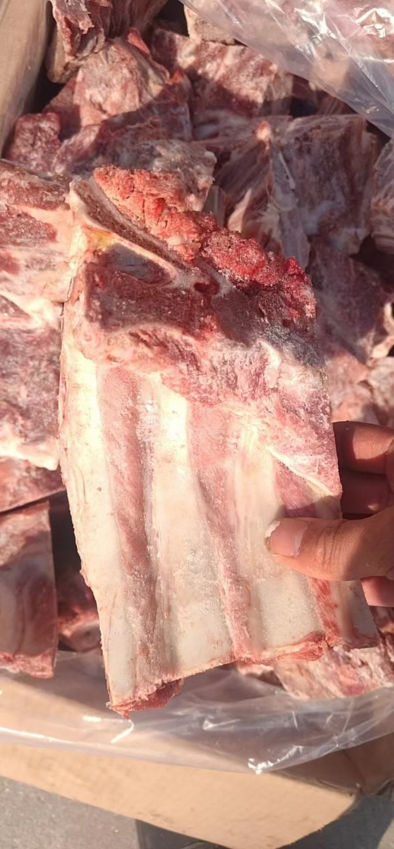 多肉胫骨块，团购神器，厂家直销，一手货源，价格低