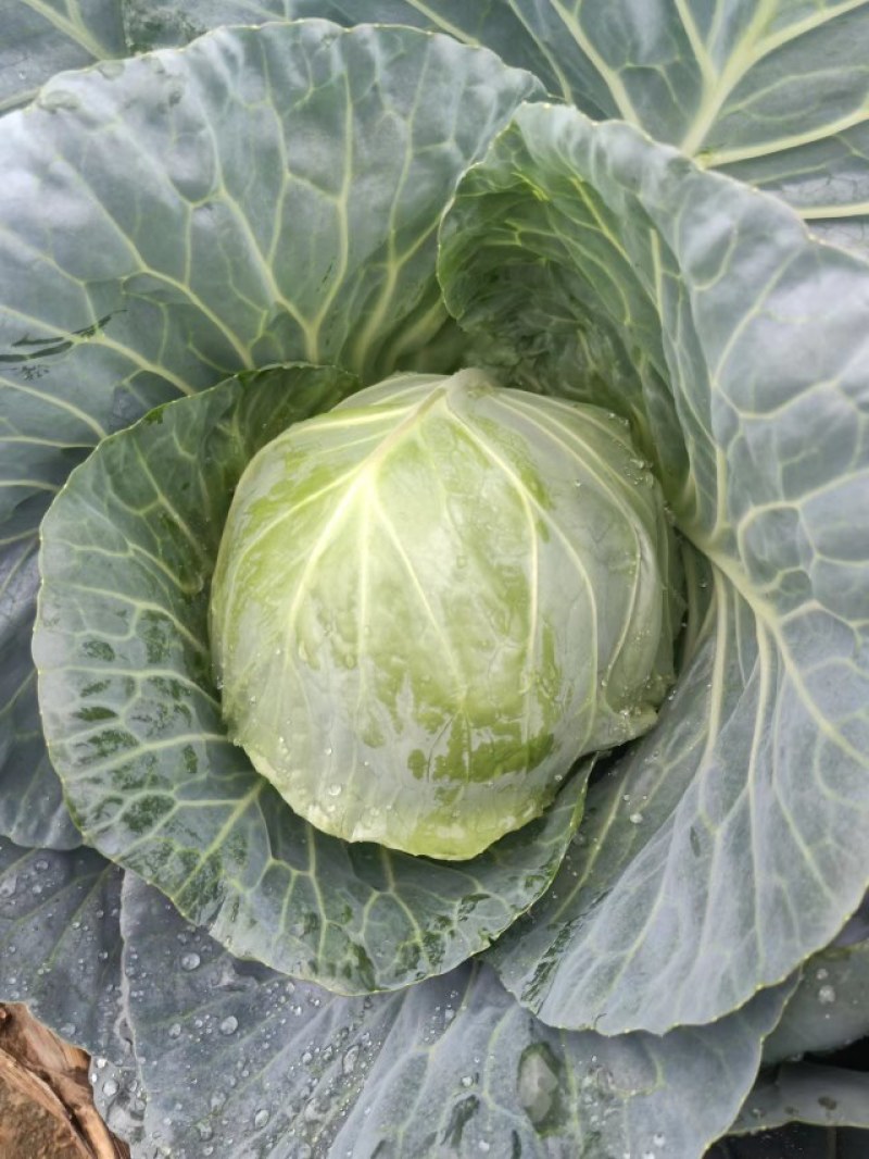 铁包，