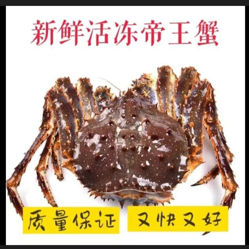 【广东热销】新鲜活冻帝王蟹生冻深海帝王蟹速冻低价售卖