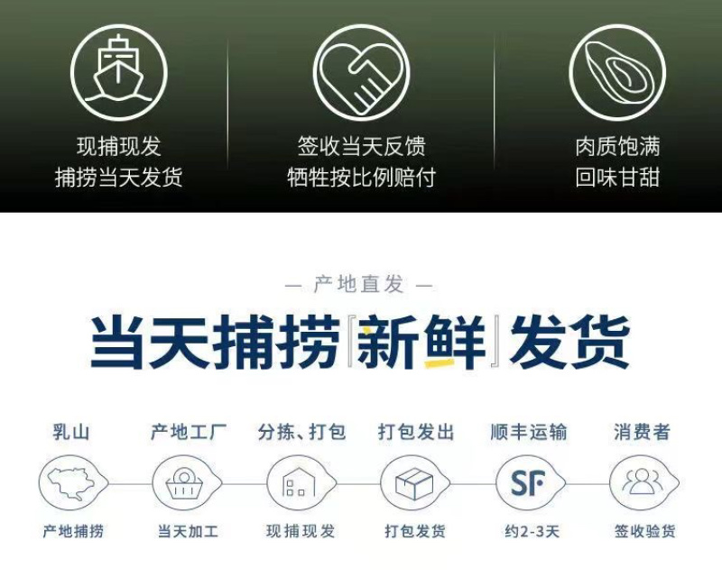 乳山生蚝海鲜生蚝大牡蛎新鲜带壳海蛎子鲜活大生蚝烧烤生蚝