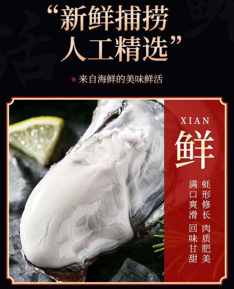 乳山生蚝海鲜生蚝大牡蛎新鲜带壳海蛎子鲜活大生蚝烧烤生蚝
