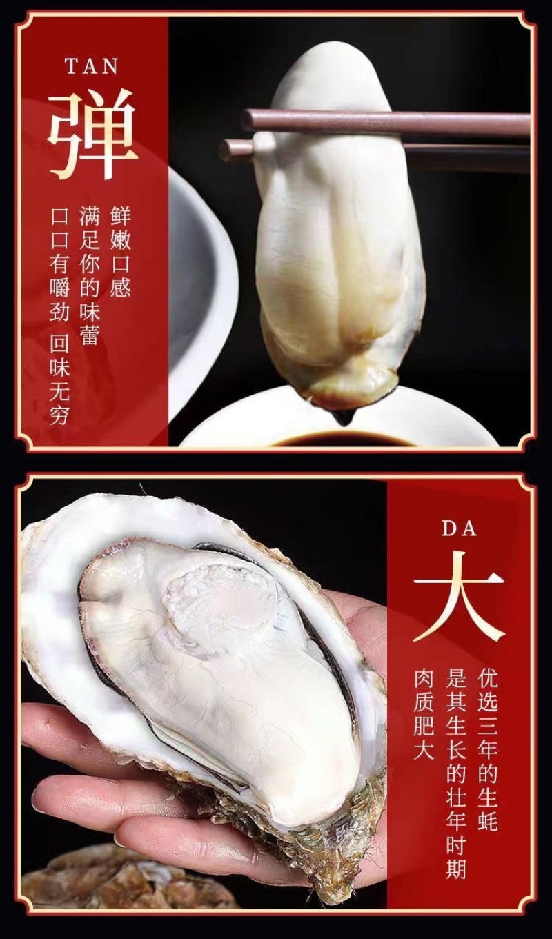 乳山生蚝海鲜生蚝大牡蛎新鲜带壳海蛎子鲜活大生蚝烧烤生蚝