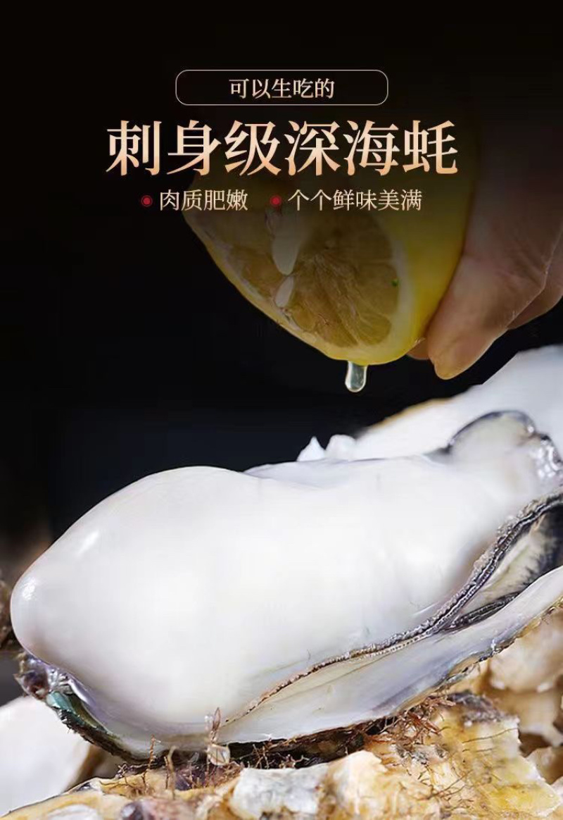 乳山生蚝海鲜生蚝大牡蛎新鲜带壳海蛎子鲜活大生蚝烧烤生蚝