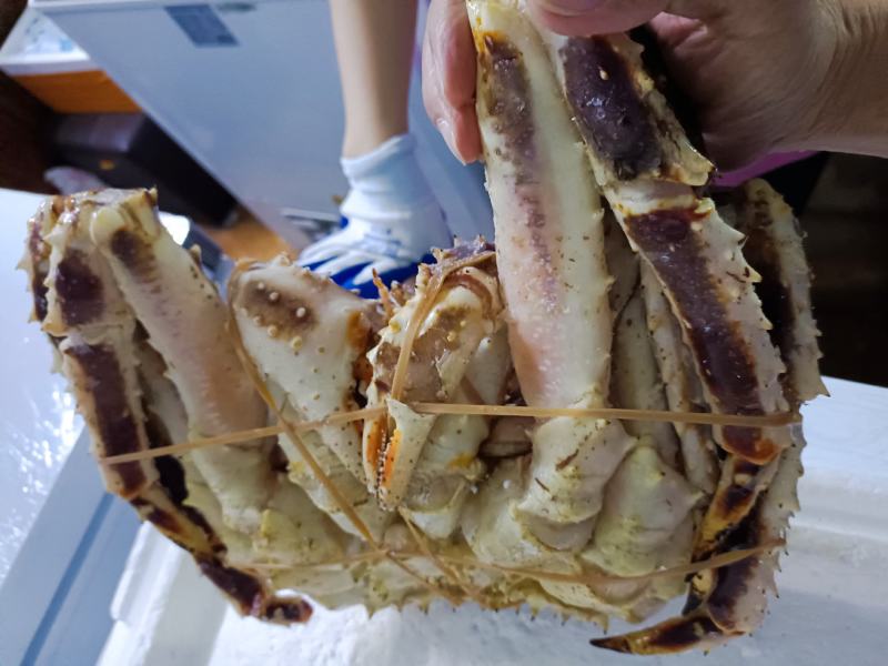 【广东热销】新鲜活冻帝王蟹生冻深海帝王蟹速冻低价售卖