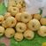 陕西蒲城酥梨大量上市中，代发全国，对接各大商超。