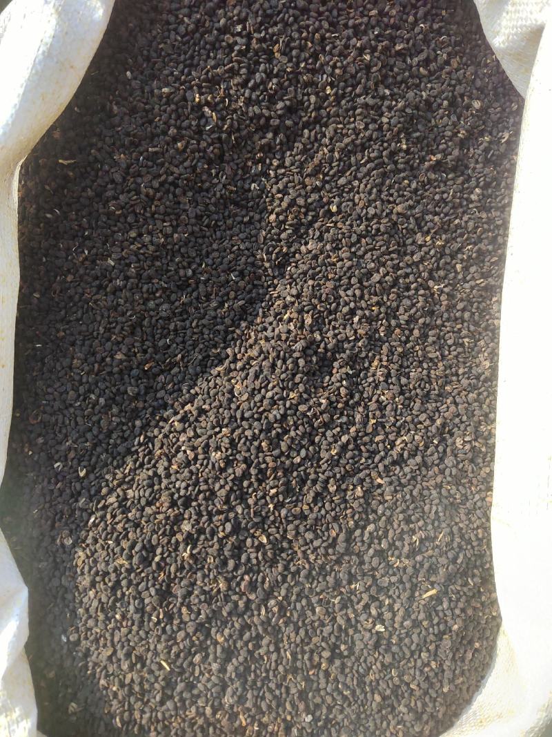 补骨脂，黑姑子，破故纸，产地一手货源，过风机
