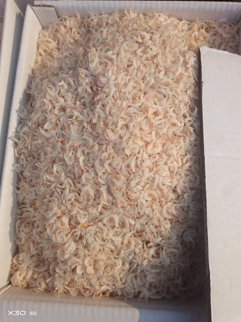 精品虾皮无盐虾皮产地直发品质保证欢迎咨询合作