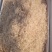 精品虾皮无盐虾皮有盐虾皮产地直发品质保证