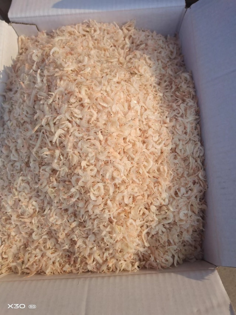 精品虾皮无盐虾皮有盐虾皮产地直发品质保证