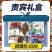 海参礼盒单品，过年海鲜礼盒打包需要，两款价格透明大连发货