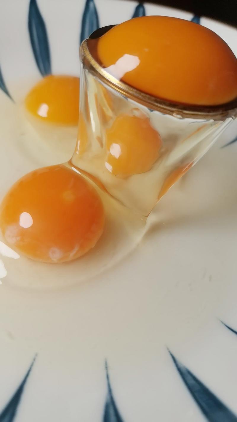 【真正散养】生态散养土鸡蛋，420个土鸡蛋一箱！