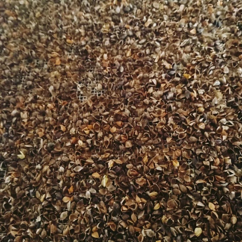 荞面皮