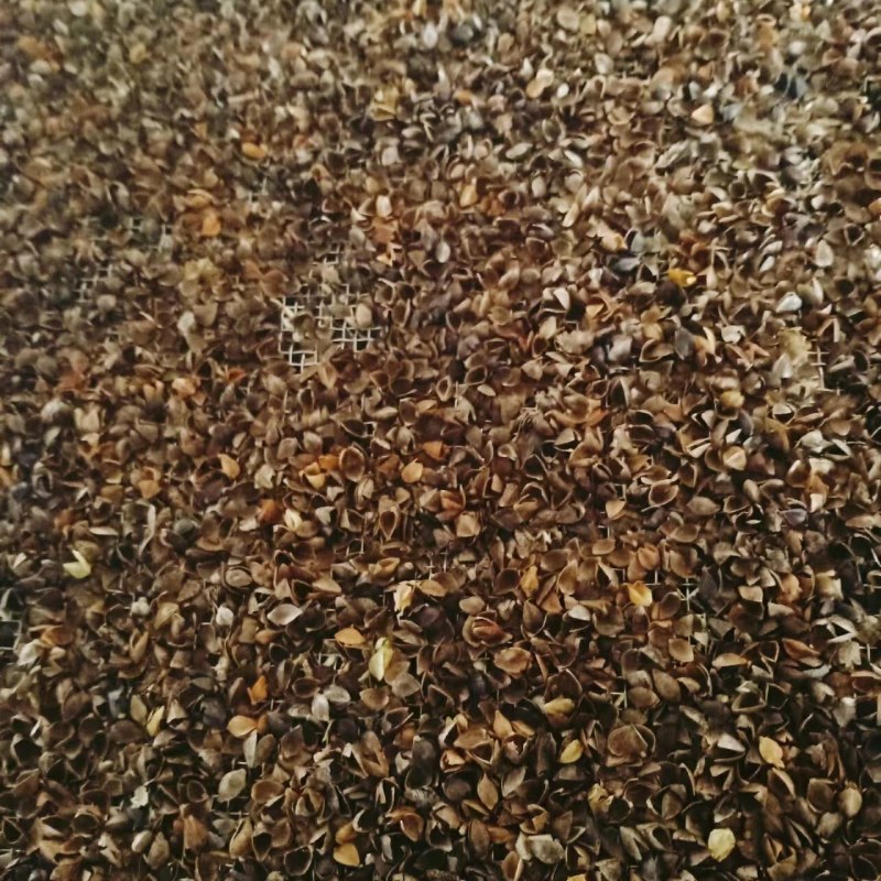 荞面皮