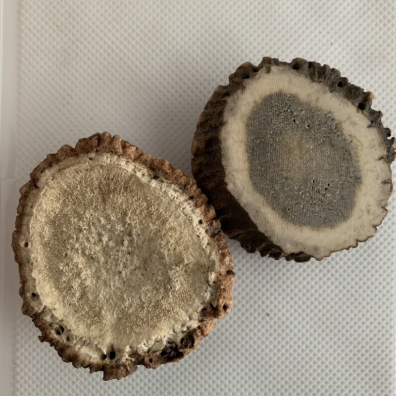 产地自销鹿角盘鹿角帽500g包邮鹿角片鹿茸片