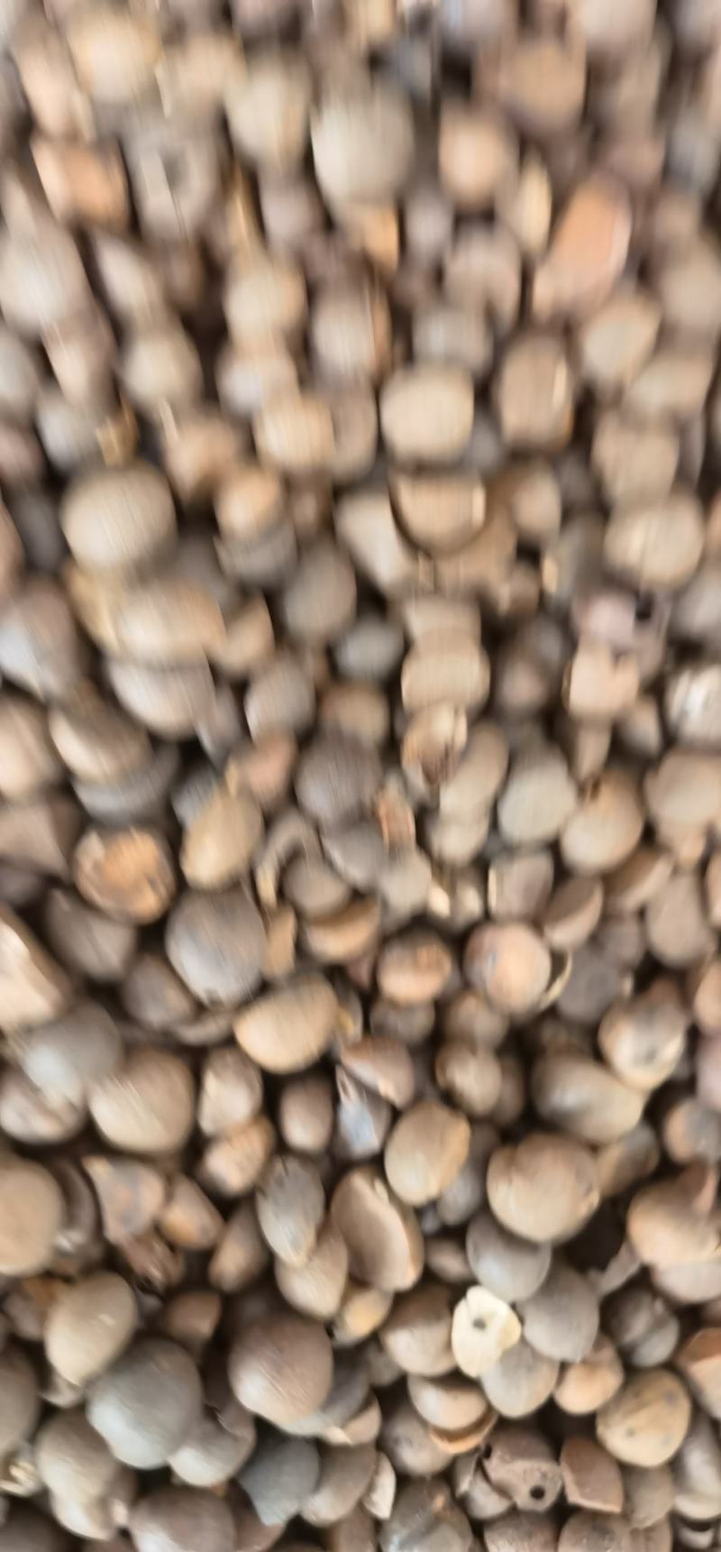 茶粕，茶枯，优质产品，畅销种植养殖二十年