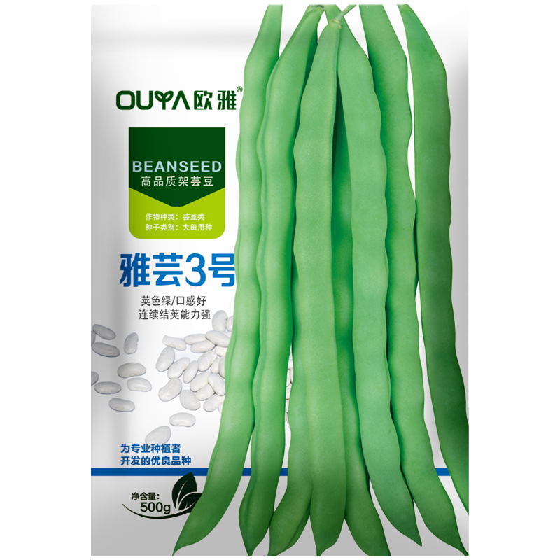 青绿条芸豆种子雅芸3号豆角种子架豆荚条长30厘米左右