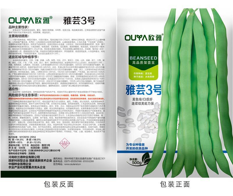 青绿条芸豆种子雅芸3号豆角种子架豆荚条长30厘米左右