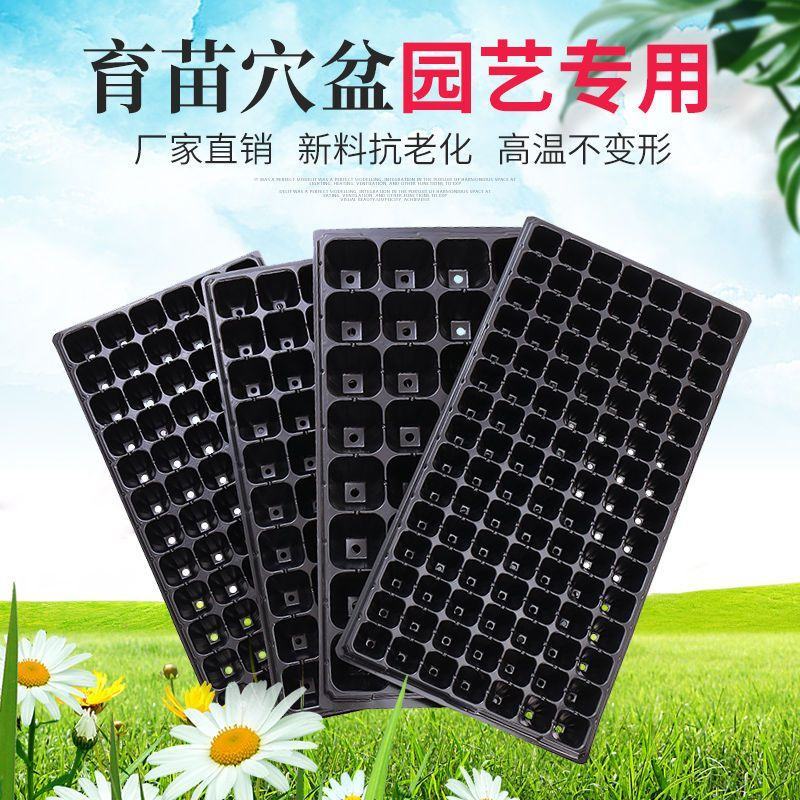 批发穴盘育苗盘厂家直销蔬菜育苗盘瓜果育苗盘辣椒育苗盘玉米