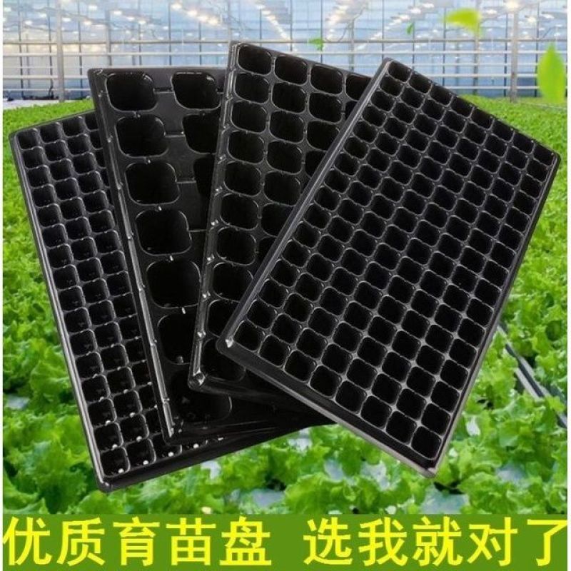 批发穴盘育苗盘厂家直销蔬菜育苗盘瓜果育苗盘辣椒育苗盘玉米