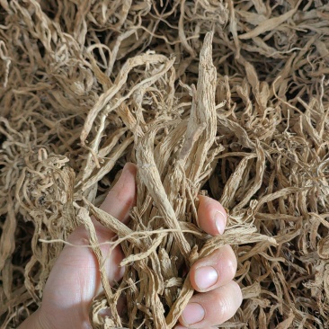 不水洗百部药厂投料个子