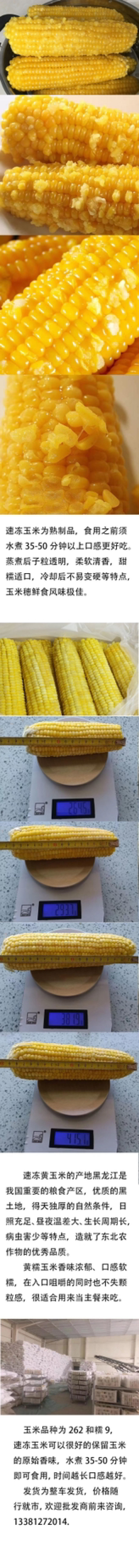 速冻玉米冻玉米熟冻甜糯整车发货散装箱装量大优惠