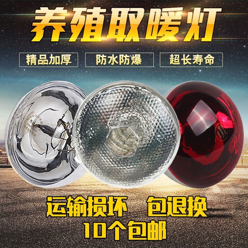 养殖保温灯泡防爆金属灯罩取暖灯泡防爆开合网罩猪用养殖