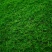 苔藓，野生苔藓，公园，专用绿化，给人们带来舒服新鲜空气