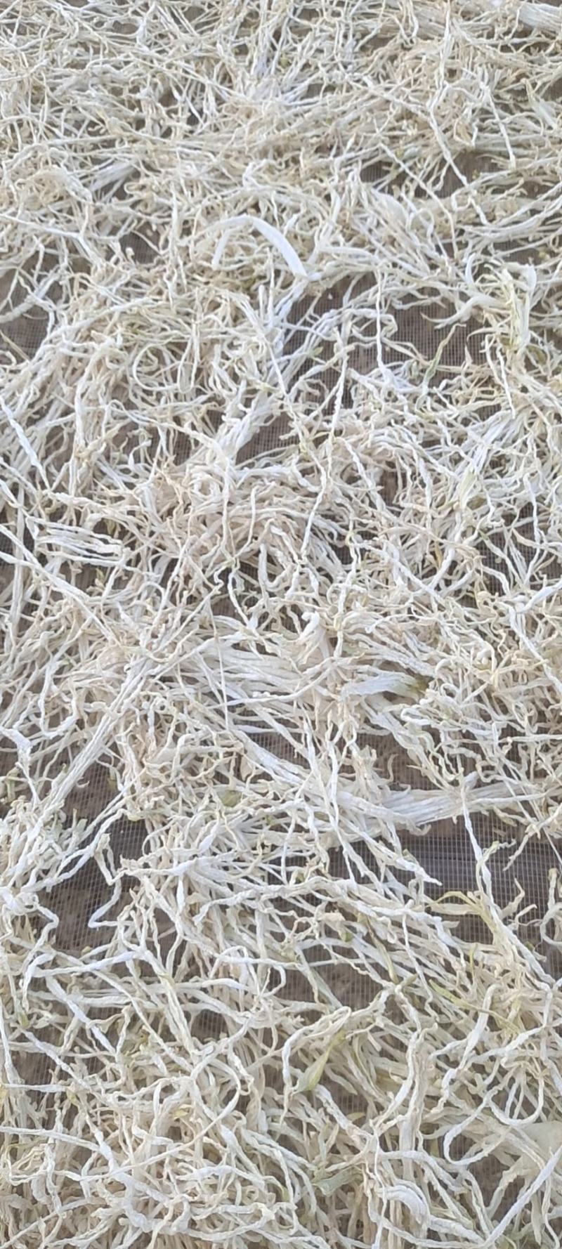【萝卜干】小段店铺经营萝卜干，量大从优欢迎选购