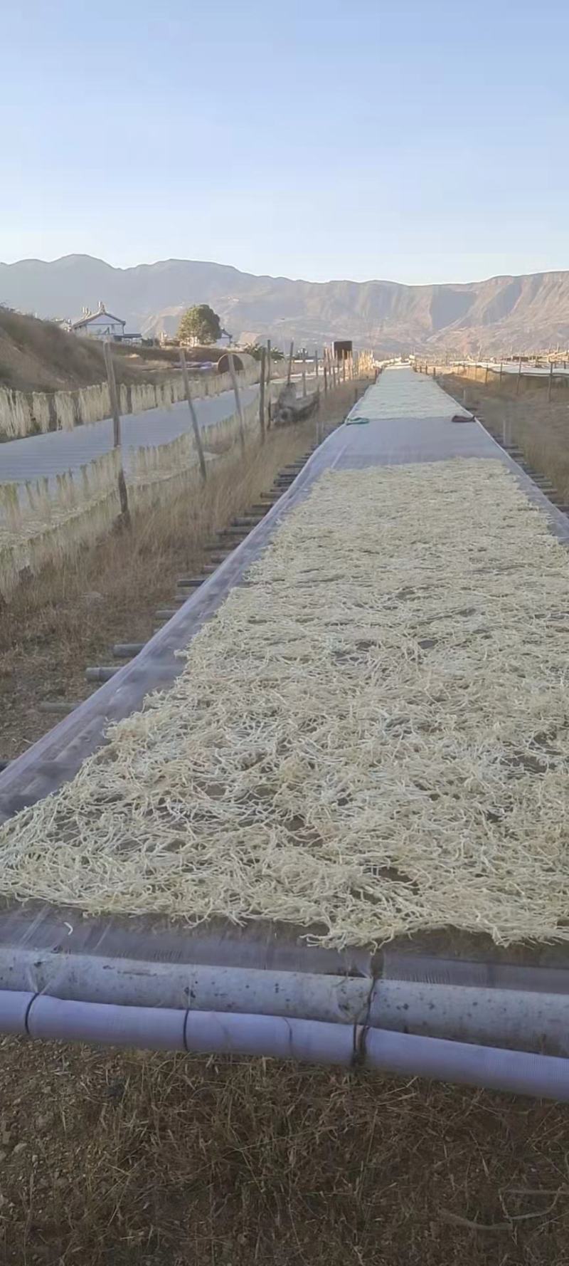 【萝卜干】小段店铺经营萝卜干，量大从优欢迎选购