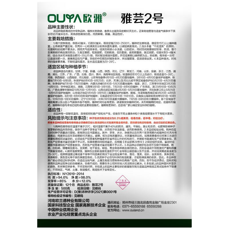 绿白条高产芸豆种子籽耐热耐寒无筋豆宽扁四季豆芸豆种子大全
