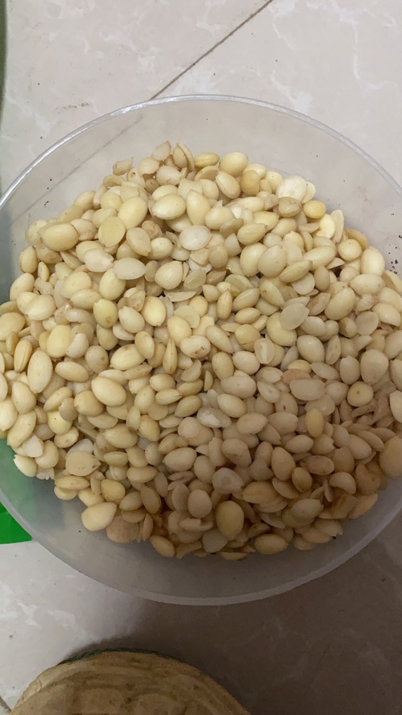 中药材桃仁精选药用去皮桃仁带皮桃仁茶一公斤起批