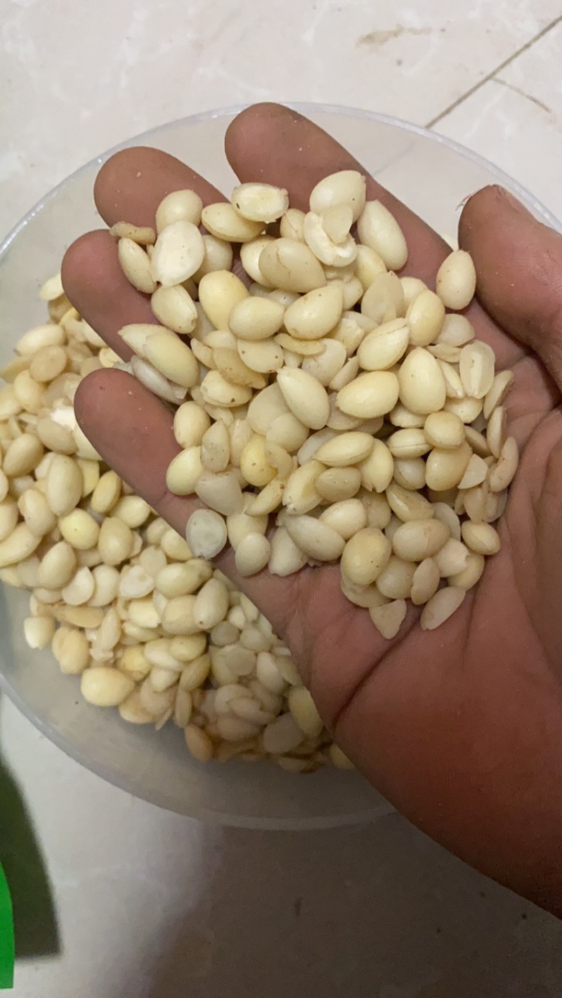 中药材桃仁精选药用去皮桃仁带皮桃仁茶一公斤起批