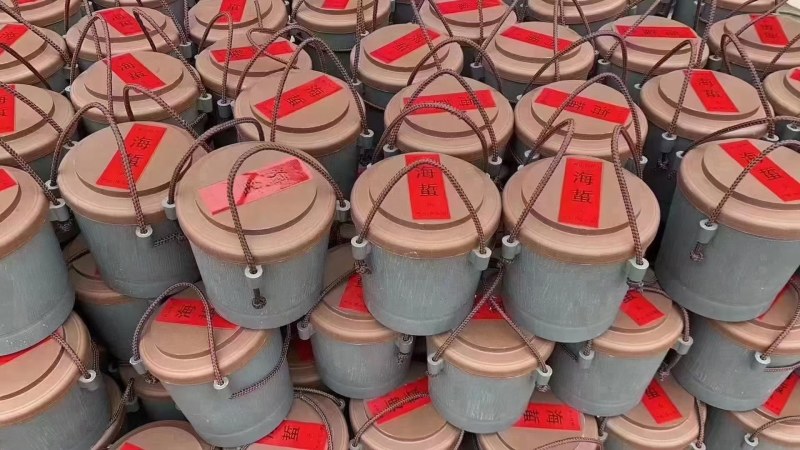 舟山洞头三矾精品筒装海哲蜇