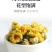 伊膳师胎菊王桐乡头茬新货正宗花茶罐装批发野菊花茶野生清热
