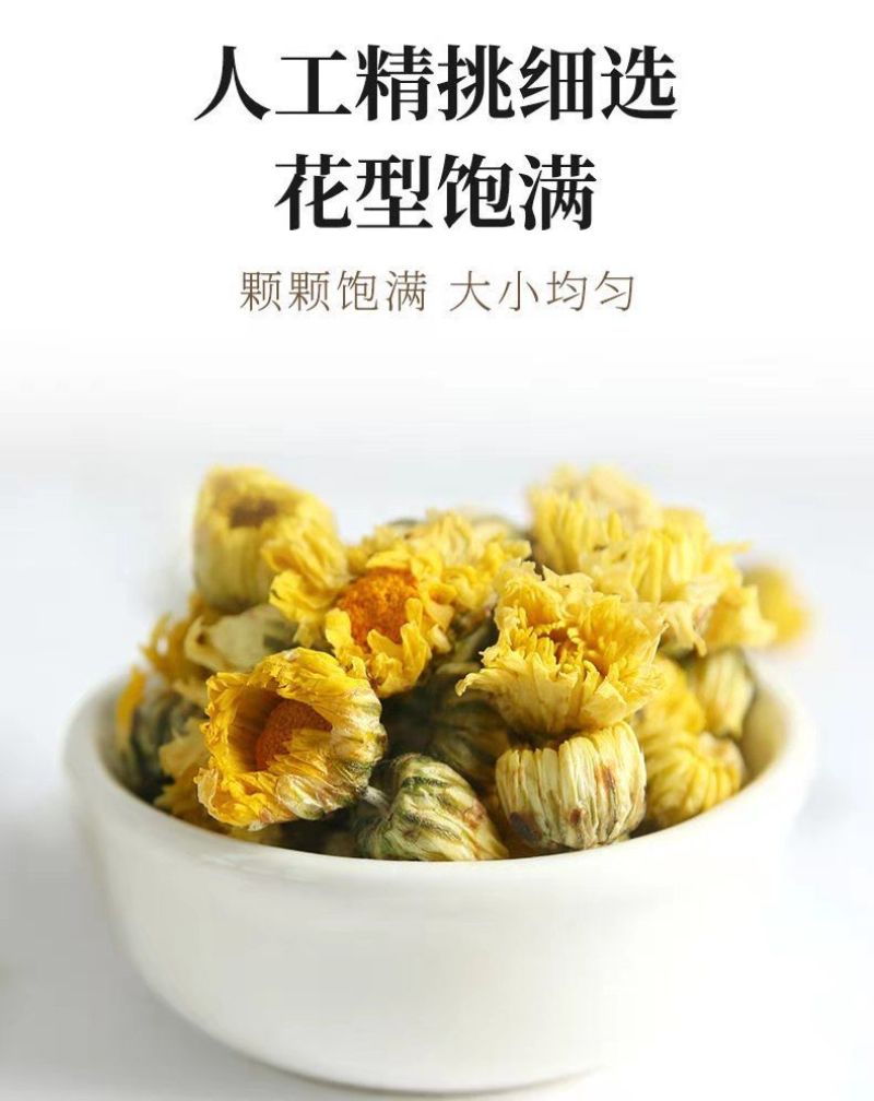 伊膳师胎菊王桐乡头茬新货正宗花茶罐装批发野菊花茶野生清热