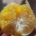 麻阳冰糖橙。精品袋装，一袋4斤左右，量大从优