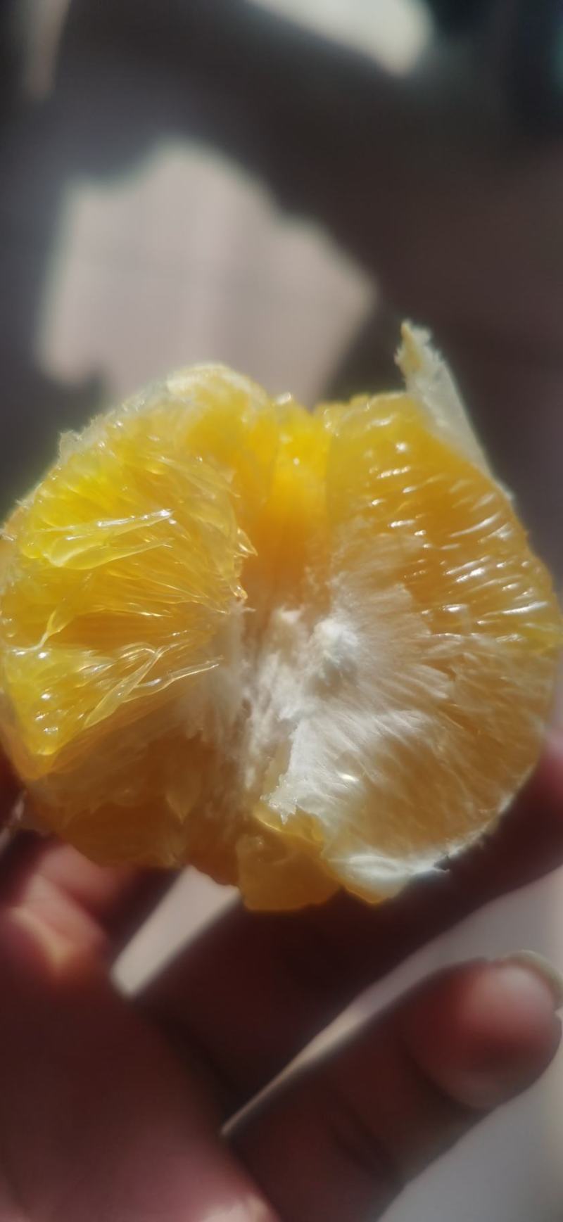 麻阳冰糖橙。精品袋装，一袋4斤左右，量大从优