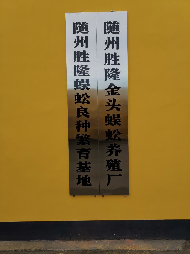 随州金头金头蜈蚣种源、种苗，干品鲜货