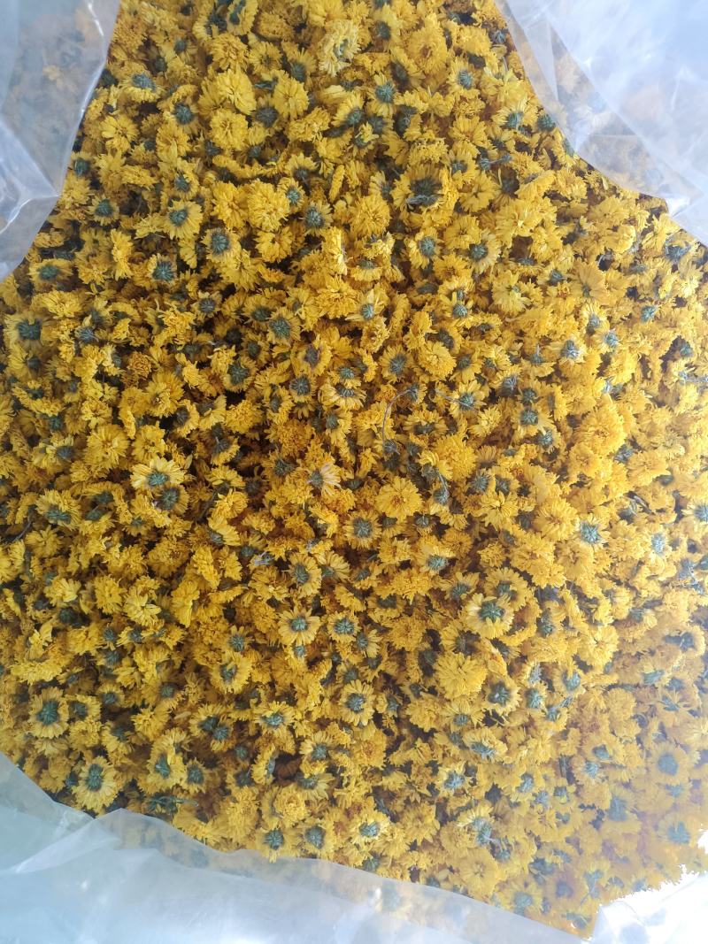 黄山休宁小黄菊，菊花