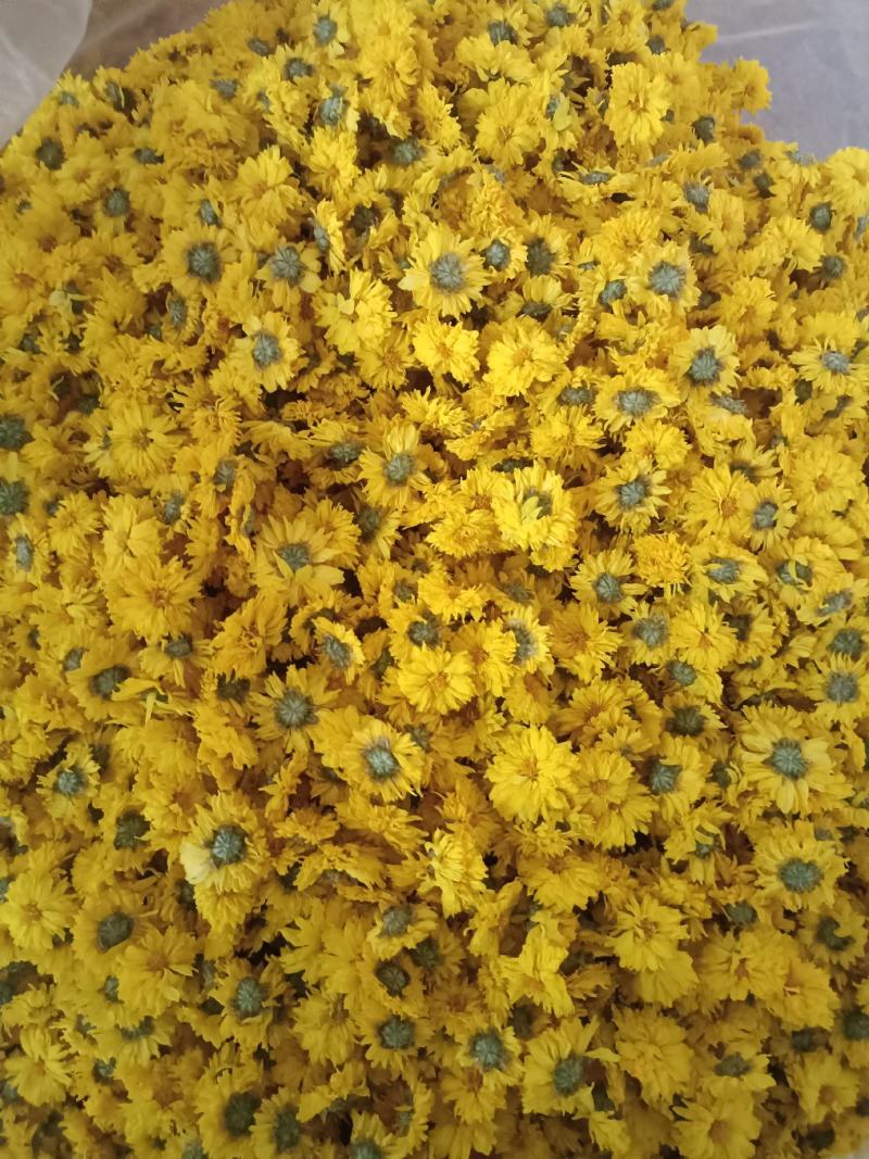 黄山休宁小黄菊，菊花