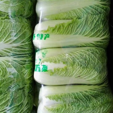 北京三号，产地大量供应，价格便宜，保质保量