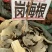 岗梅根正品中药材岗梅根、岗梅、槽楼星、秤星木、白点秤
