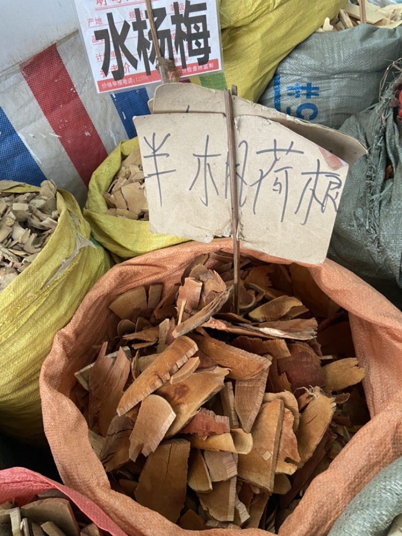 半枫荷中药材半枫荷根白背枫阴阳叶半梧桐