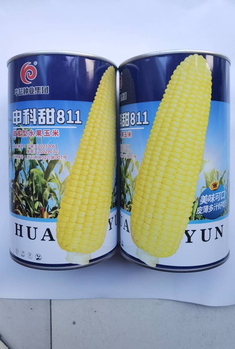 华耘申科甜811水果玉米种子超泰太阳花大棒耐热甜脆甜