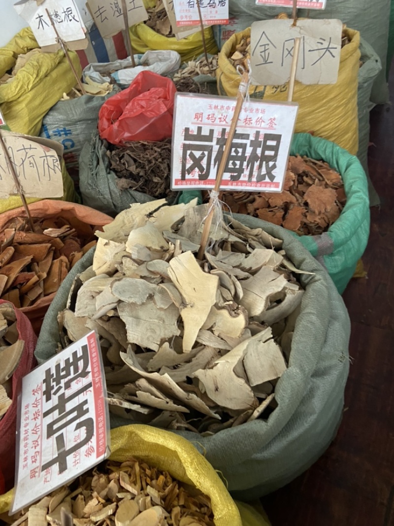 岗梅根岗梅山梅头根中药材槽楼星秤星木白点秤