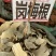 岗梅根岗梅山梅头根中药材槽楼星秤星木白点秤