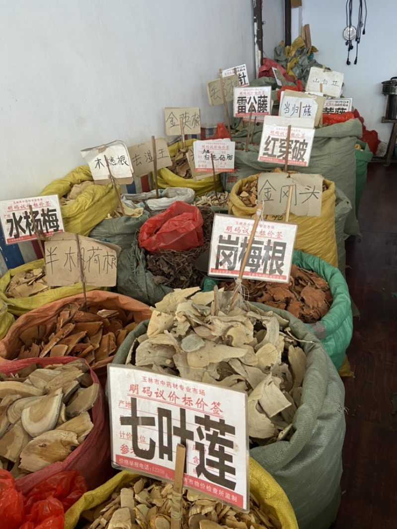 岗梅根岗梅山梅头根中药材槽楼星秤星木白点秤