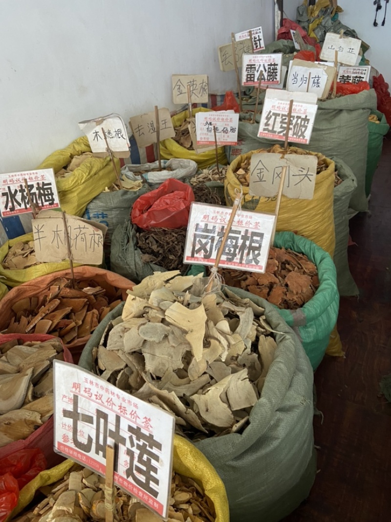 岗梅根岗梅山梅头根中药材槽楼星秤星木白点秤