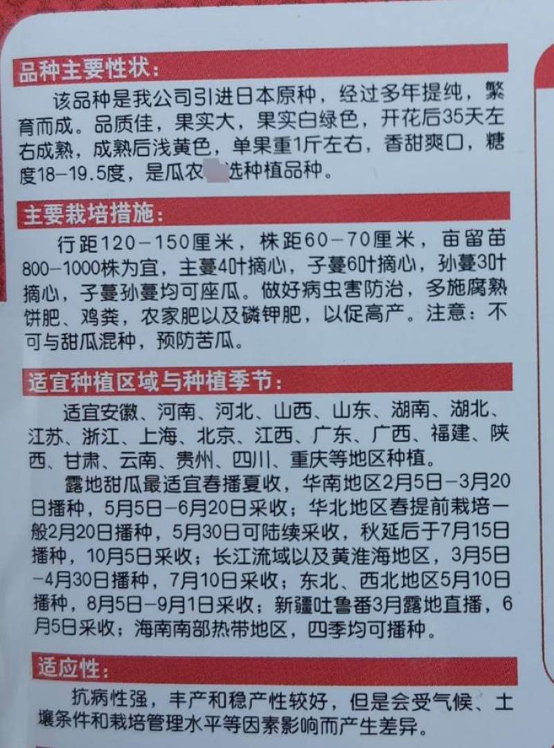 高端日本甜宝甜瓜种子艾丽莎香瓜种籽香甜脆绿黄绿皮甜瓜种子