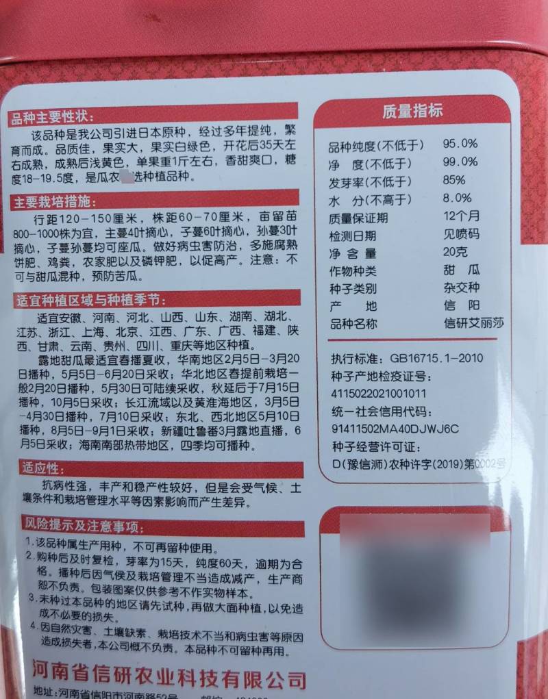 高端日本甜宝甜瓜种子艾丽莎香瓜种籽香甜脆绿黄绿皮甜瓜种子
